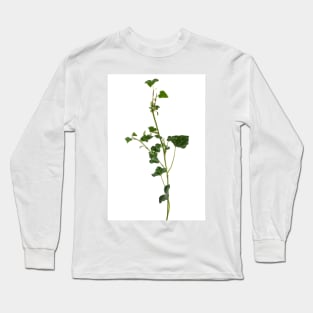 Ivy branch isolated on a white background Long Sleeve T-Shirt